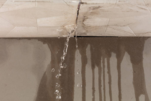 Professional Sewage Cleanup technician working in Timnath, CO